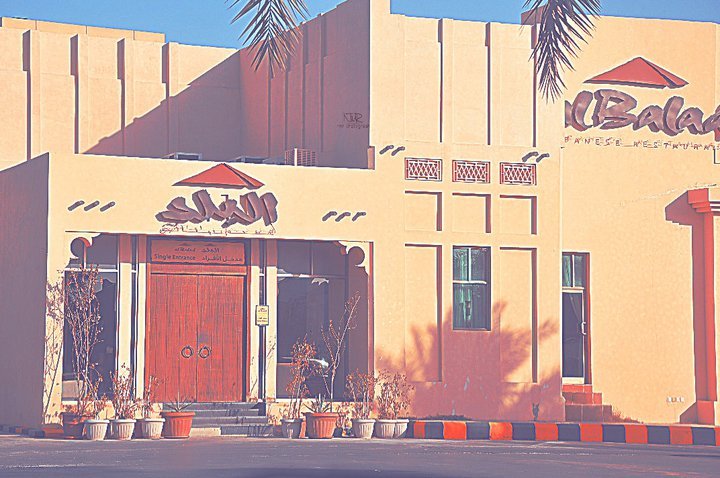 افضل مطاعم شامية 
