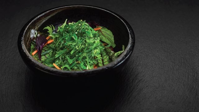 مطعم شيرو shiro ( الاسعار + المنيو + الموقع )