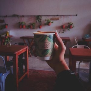 نبت فنجان للقهوة المختصة