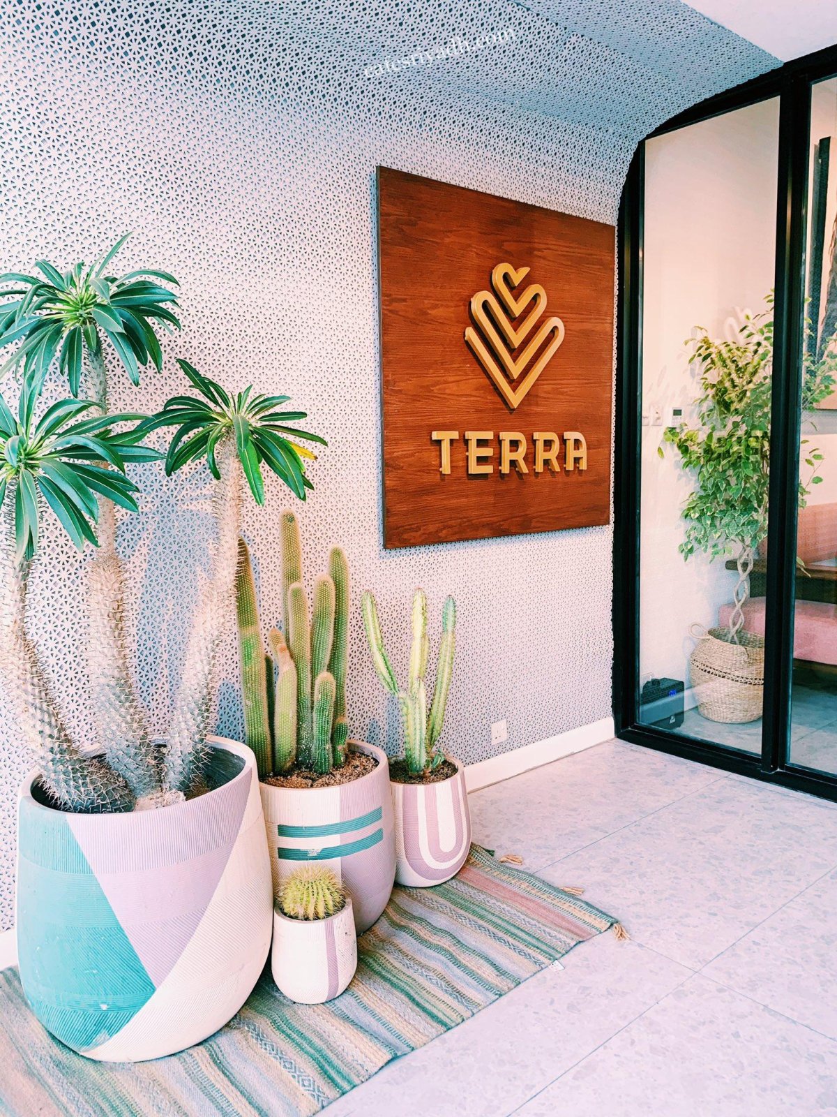 تيرا كافيه TERRA CAFE بالرياض (الأسعار+ المنيو+ الموقع)