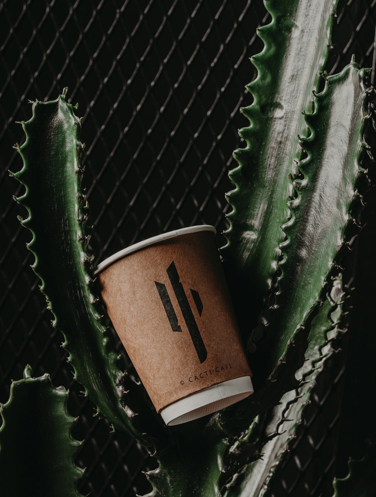 كافيه كاكتي Cacti بالرياض