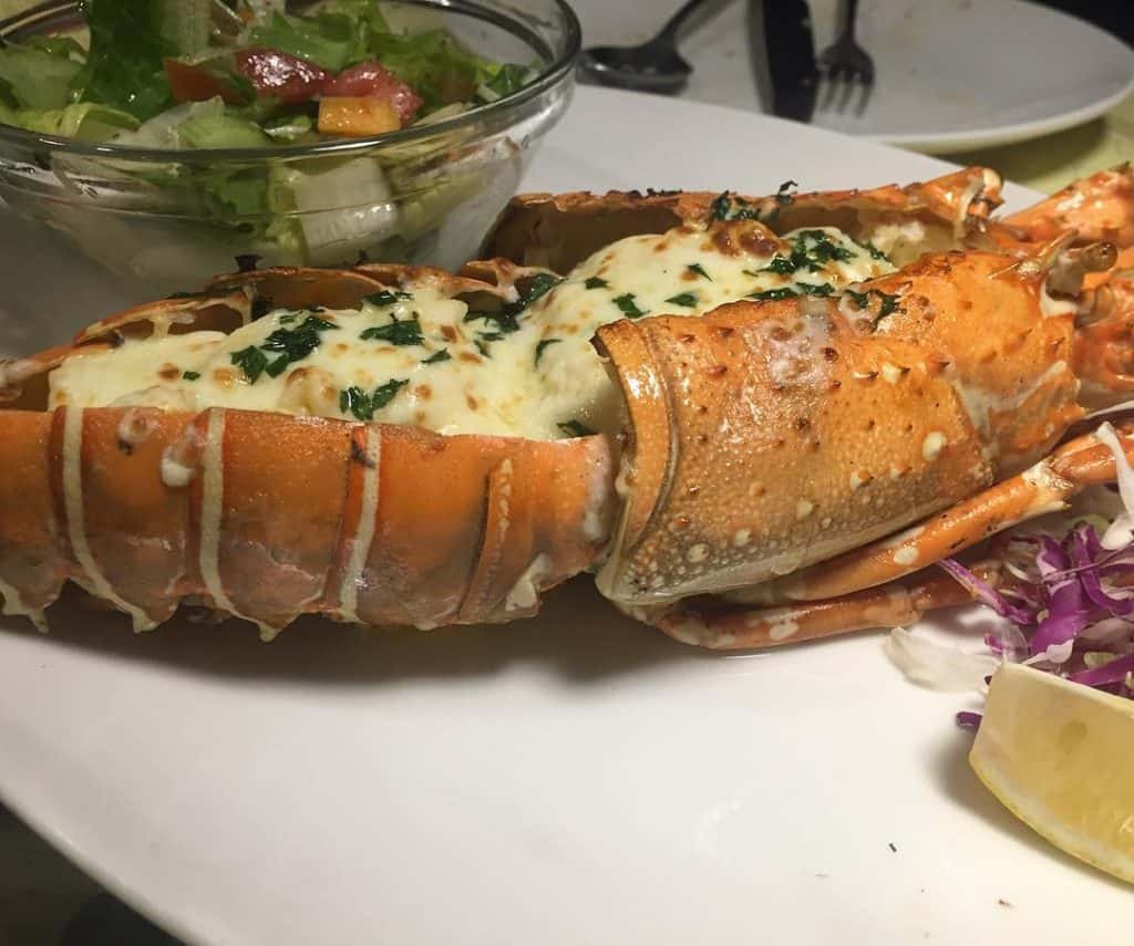 مطاعم بحرية الملز