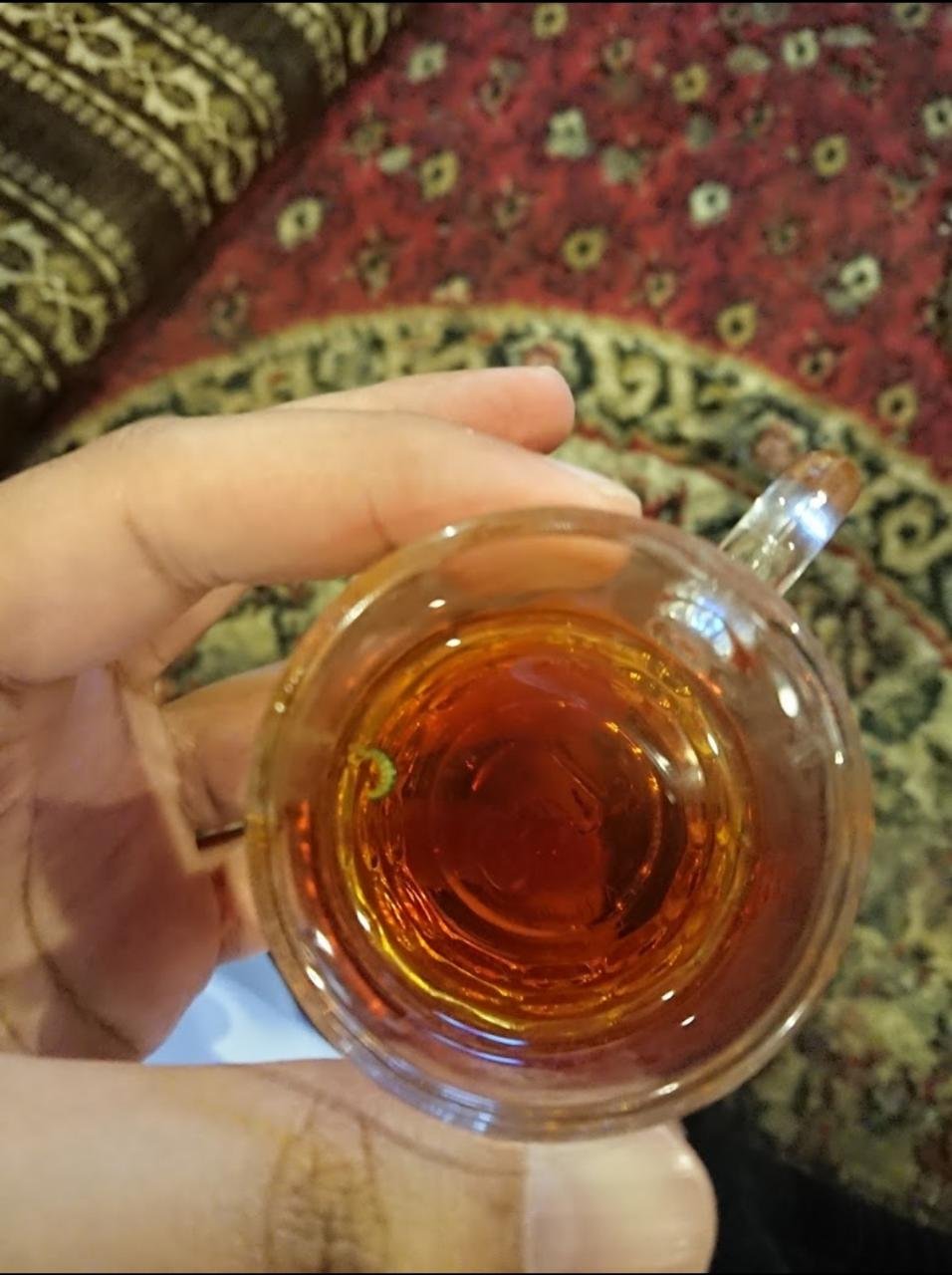 مقهى السواحل واجار شيش