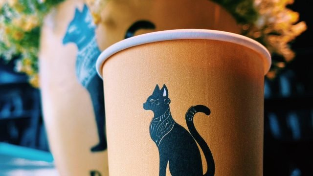 كافيه باستيت BASTET (الأسعار+ المنيو+ الموقع)