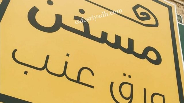 مطعم مسخن ورق عنب ( الأسعار + المنيو + الموقع )