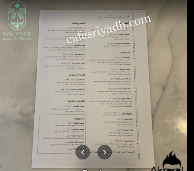 منيو مطعم سولتري بالاسعار
