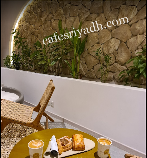 شجرة الصحراء الرياض