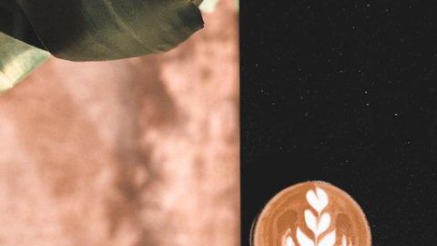 كافيه سبيشل دروبز للقهوة المختصة (الأسعار+ المنيو+ الموقع)